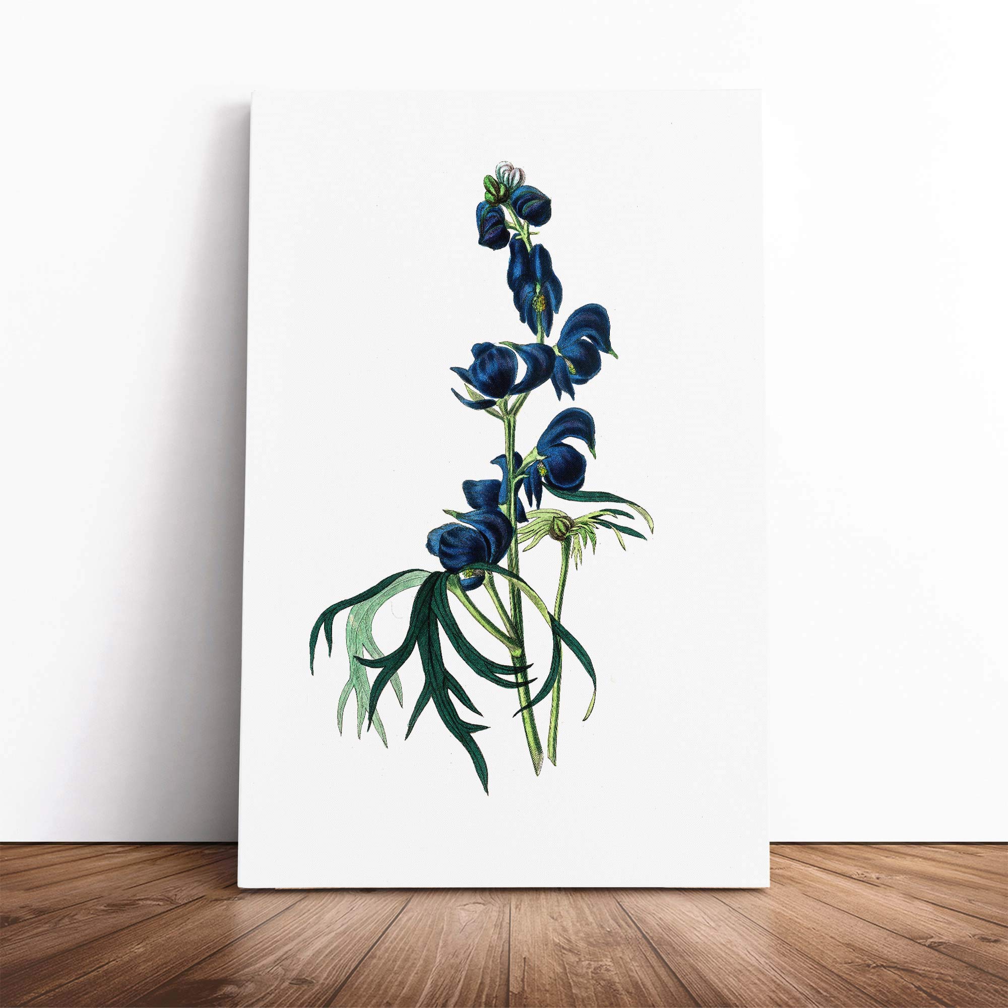 Wolfsbane Flowers Illustration | Canvas Wall Art Print | Framed & Ready to Hang Picture | Modern Home Decor for Living Room, Bedroom, Kitchen or Office | 30x20 Inches
