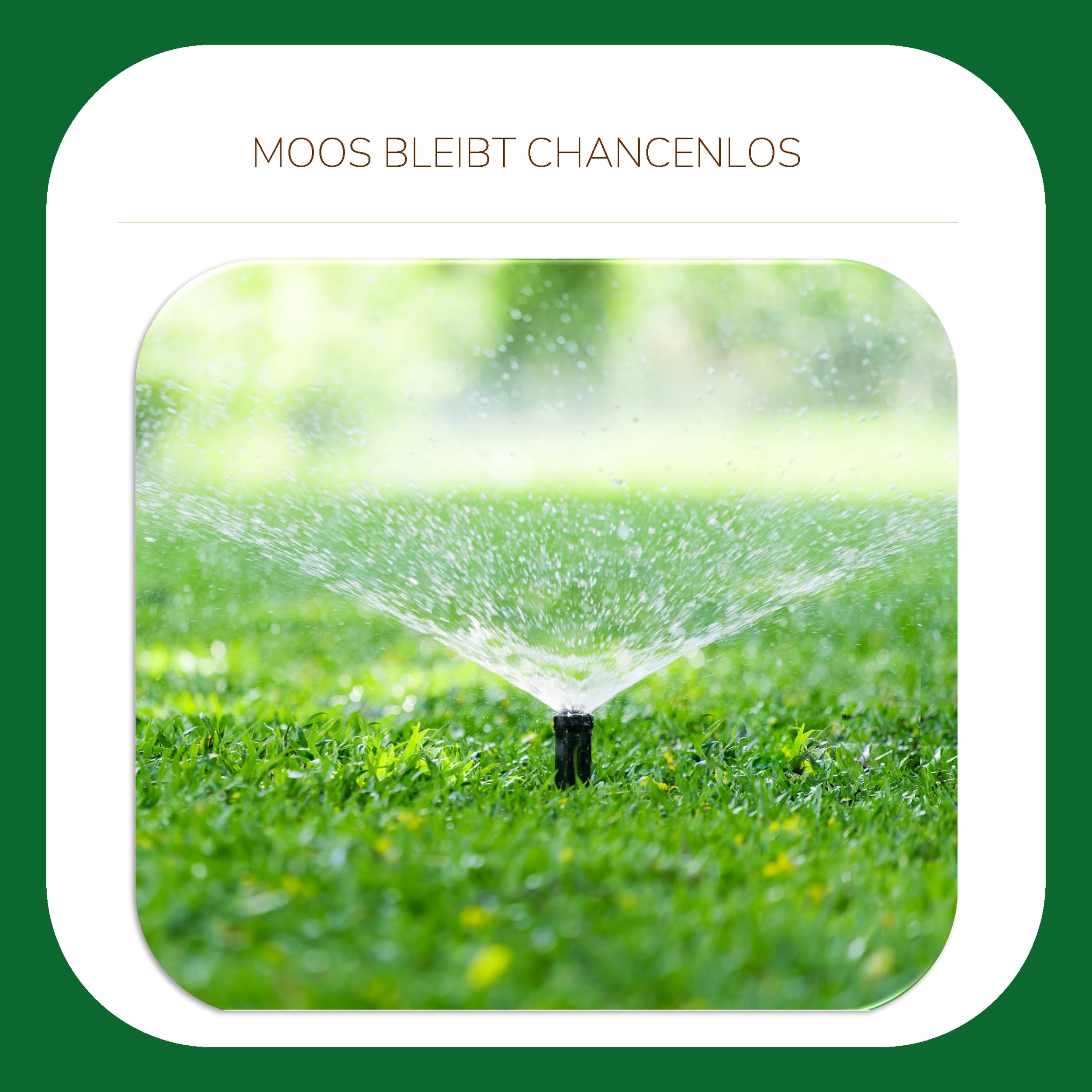 Substral Moos - Fertilizzante per prato, 4,2 kg, 140 m², chiusura rapida, con ferro extra per prato verde intenso e denso