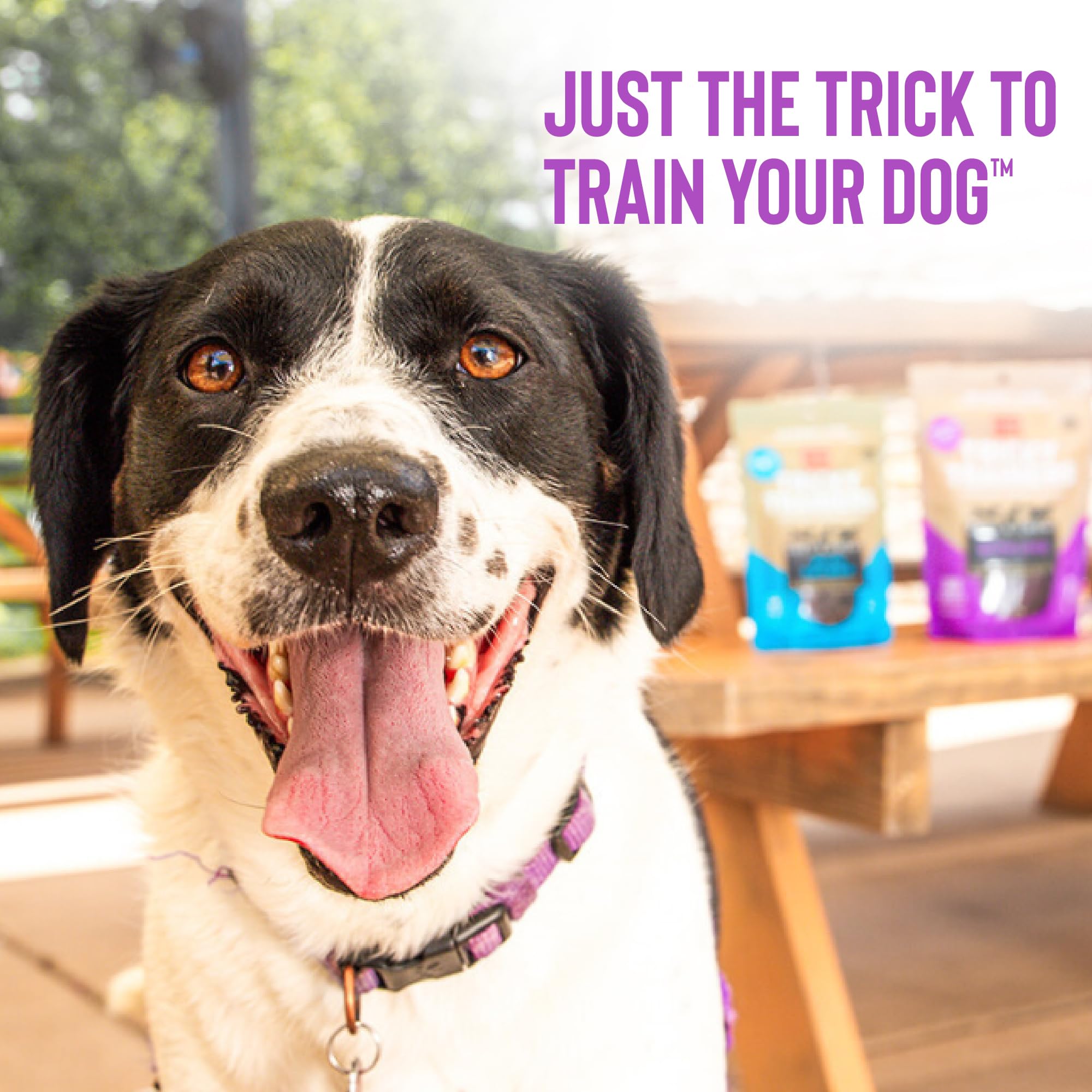 Cloud Star Tricky Trainers Crunchy Dog Training Treats Pouch, Pouch Liver Flavor, Low Calorie Behavior Aid with 450 Treats
