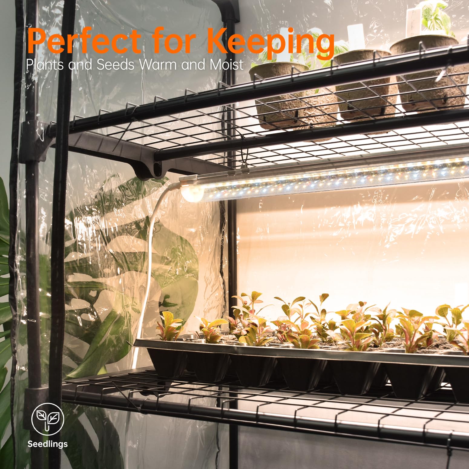 Bstrip Indoor-Gewächshaus, 4-stöckiges Foliengewächshaus mit Pflanzenlampe LED Vollspektrum, 159 cm Gewächshaus Klein zur Überwinterung von Pflanzen, ideal für Anbau, Keimlinge und Microgreens