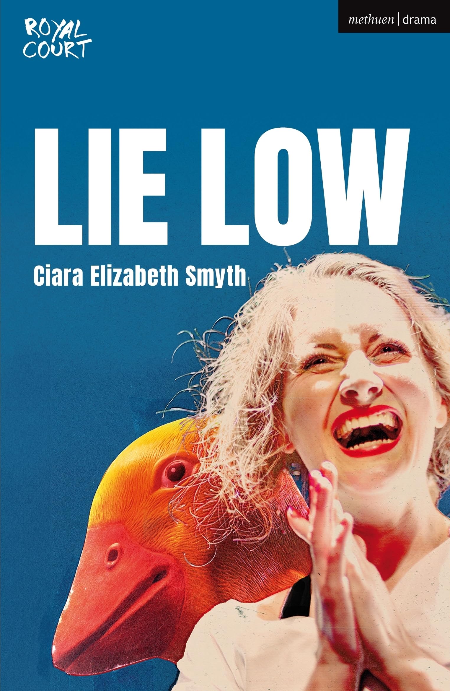 Lie Low by Ciara Elizabeth Smyth (Paperback Book)