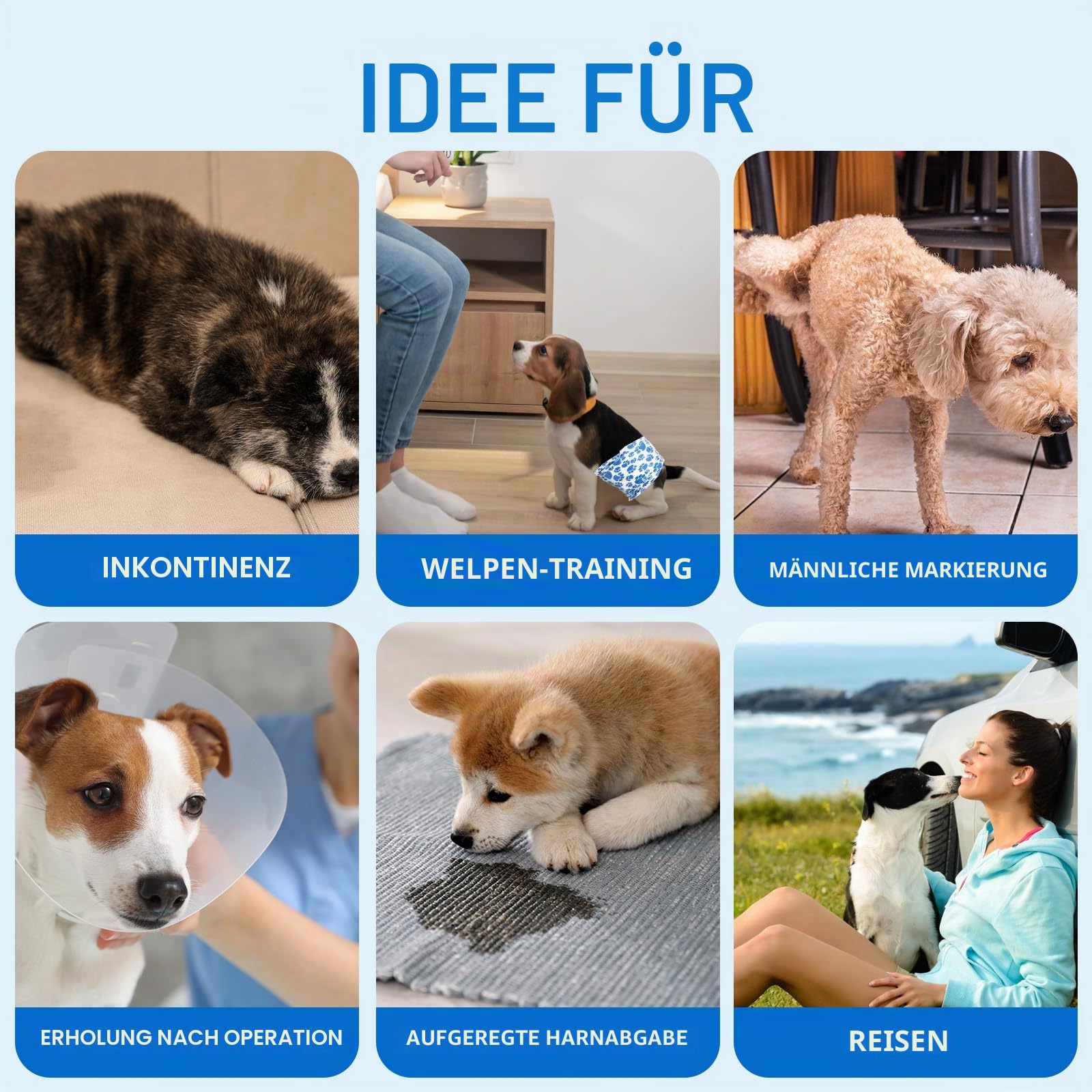 Dono Rüdenwindel, 60 Stück, Hundewindeln für Rüden, Windeln für Rüden in der Saison, Hunde Windeln Rüde mit Nässeindikator, super saugfähig, Inkontinenz, Reisen, XS, S, M, L