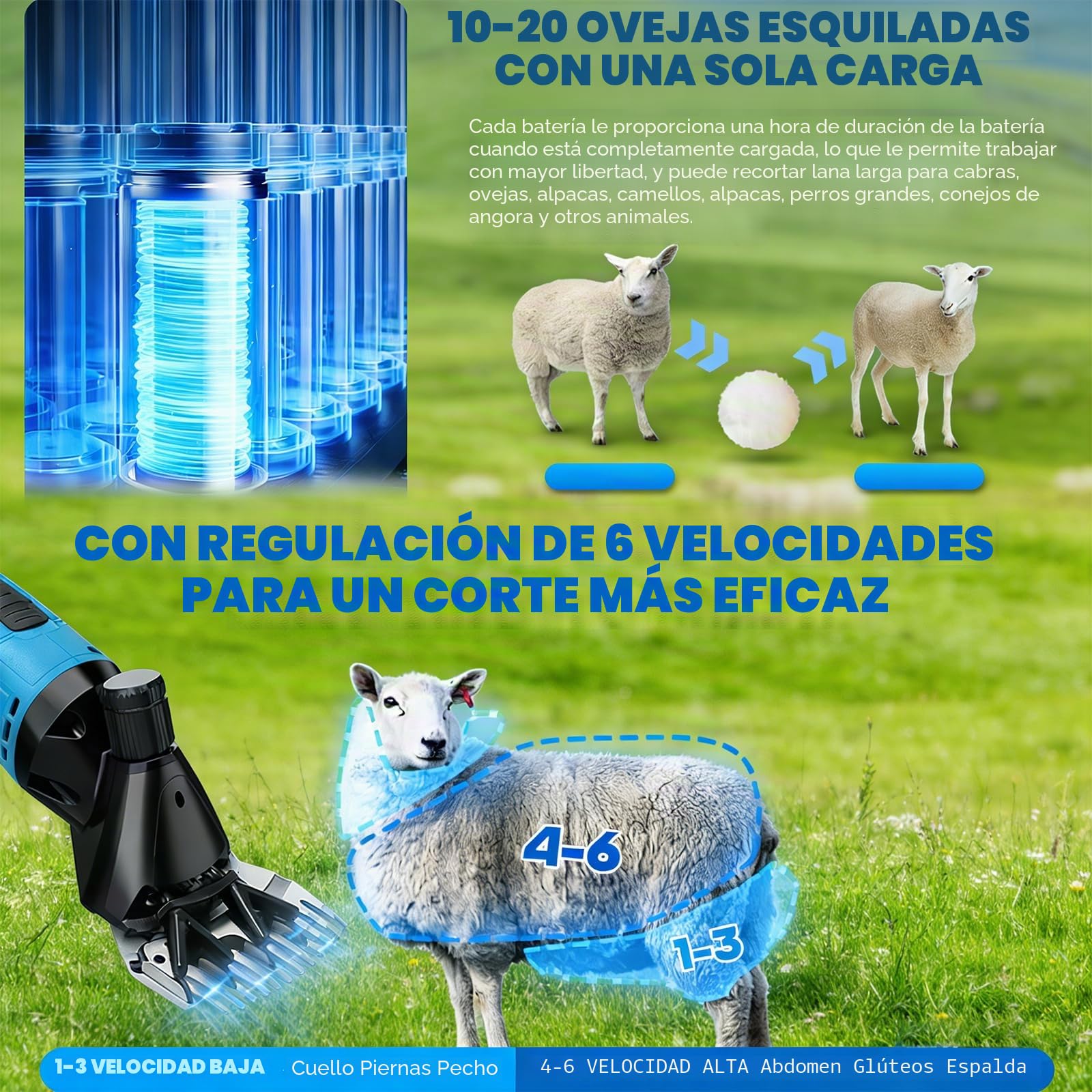 Esquiladora Eléctrica para Ovejas 300W – 21V Cortadora de Lana Inalámbrica con 2×1500mAh Baterías, Ajustable en 6 Velocidades, Cuchillas de Acero 9/13 Dientes, Esquiladora para Ganado de Pela 9-teeth