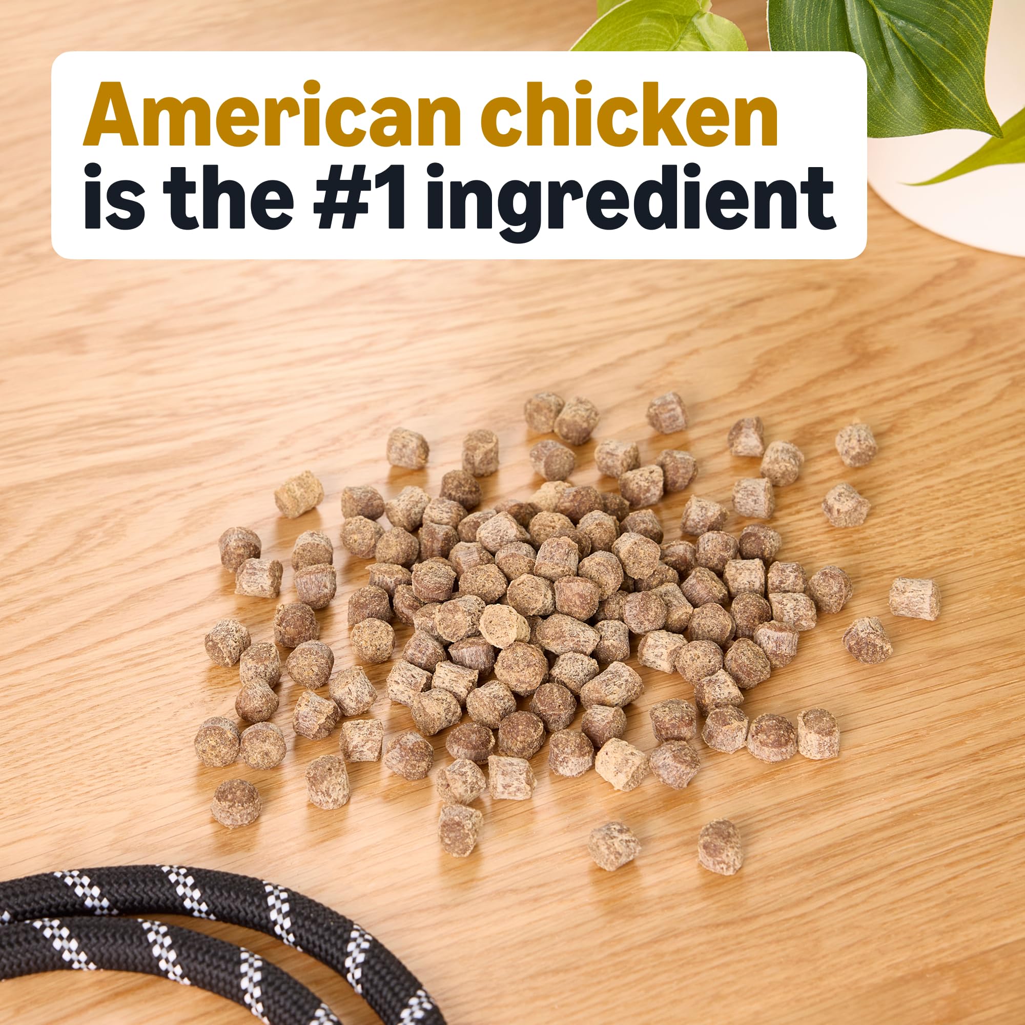 Amazon Brand – Wag Chicken Flavor Hip & Joint Training Treats for Dogs, 2 lb. Bag (32 oz) - image 3