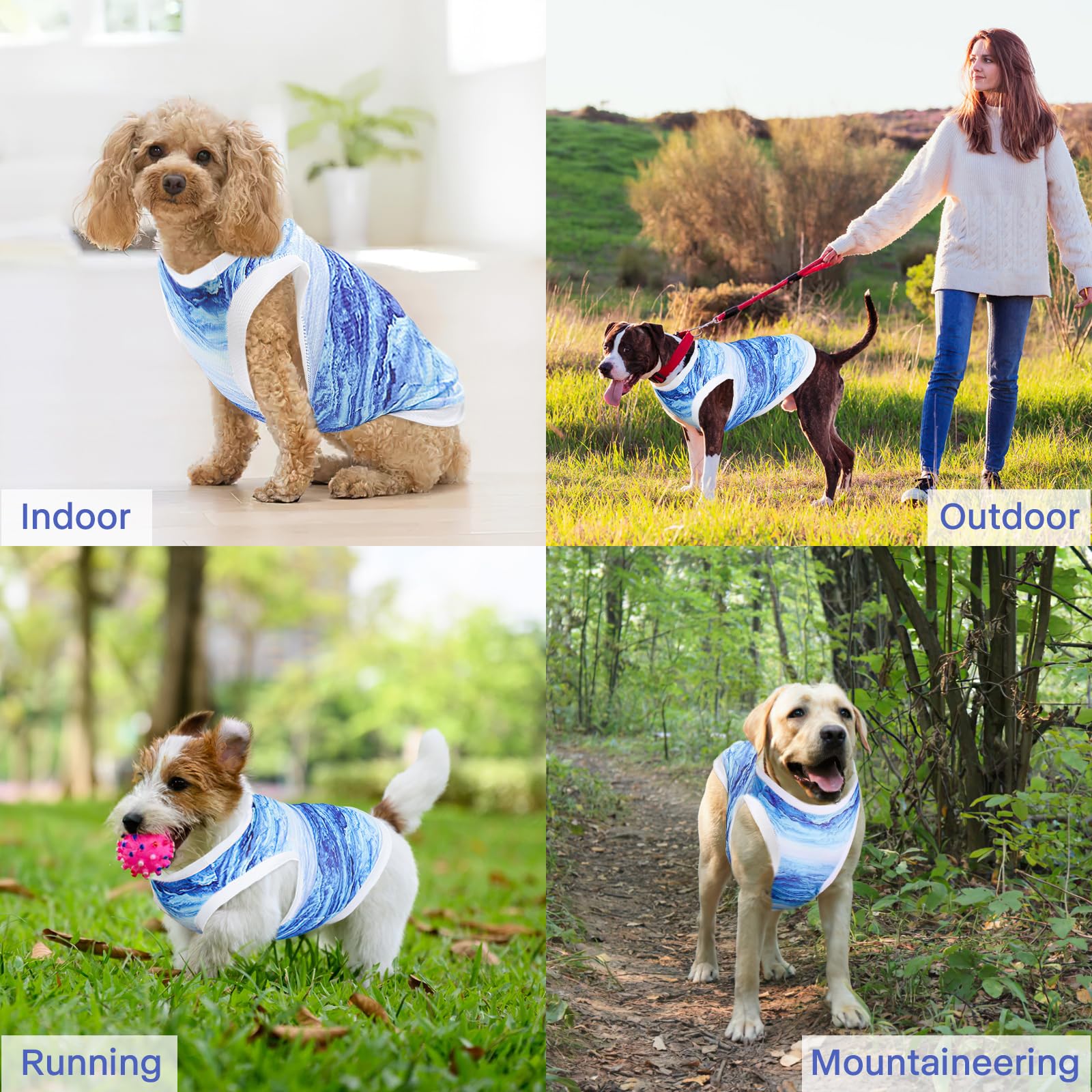 Gilet Rinfrescante per Cani, Giacca di Raffreddamento per Cani, Tessuto a Raffreddamento Istantaneo e Microfibra, Blu, XL