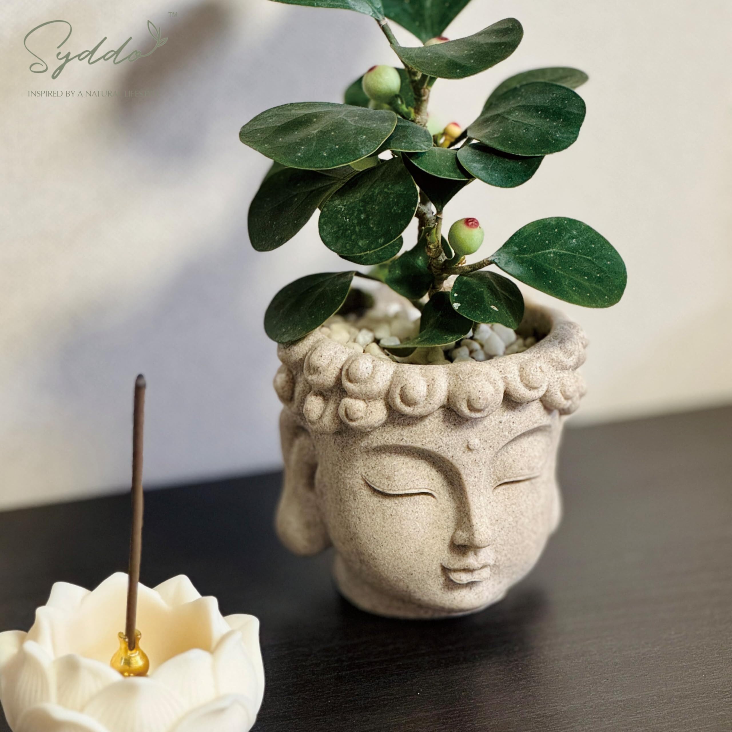 Jardinières décoratives Pot de Fleurs Les indispensables du Jardin