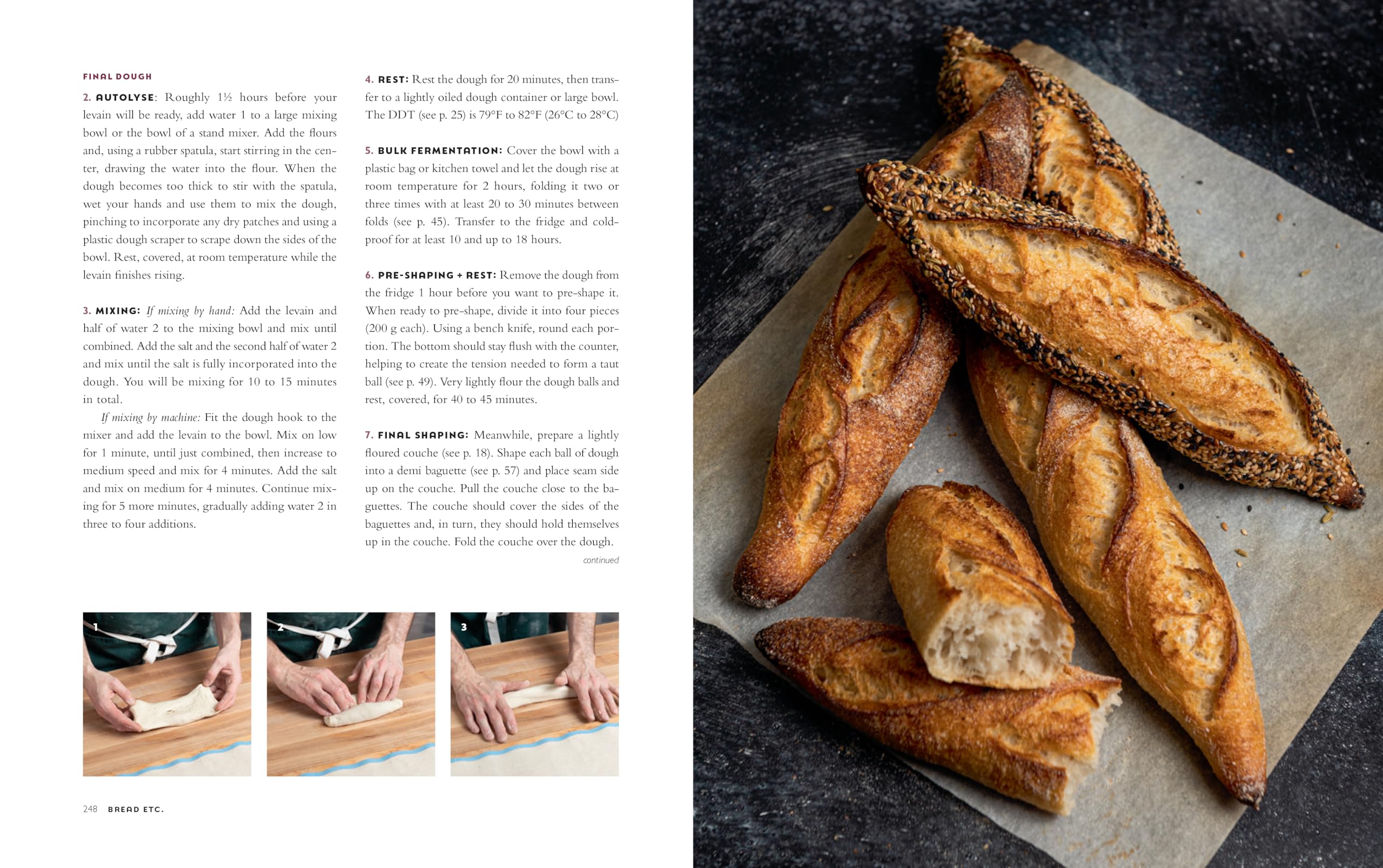 Bread Etc.: Recipes + Techniques for Baking with Sourdough, Yeasted Dough, Pizza Dough + More