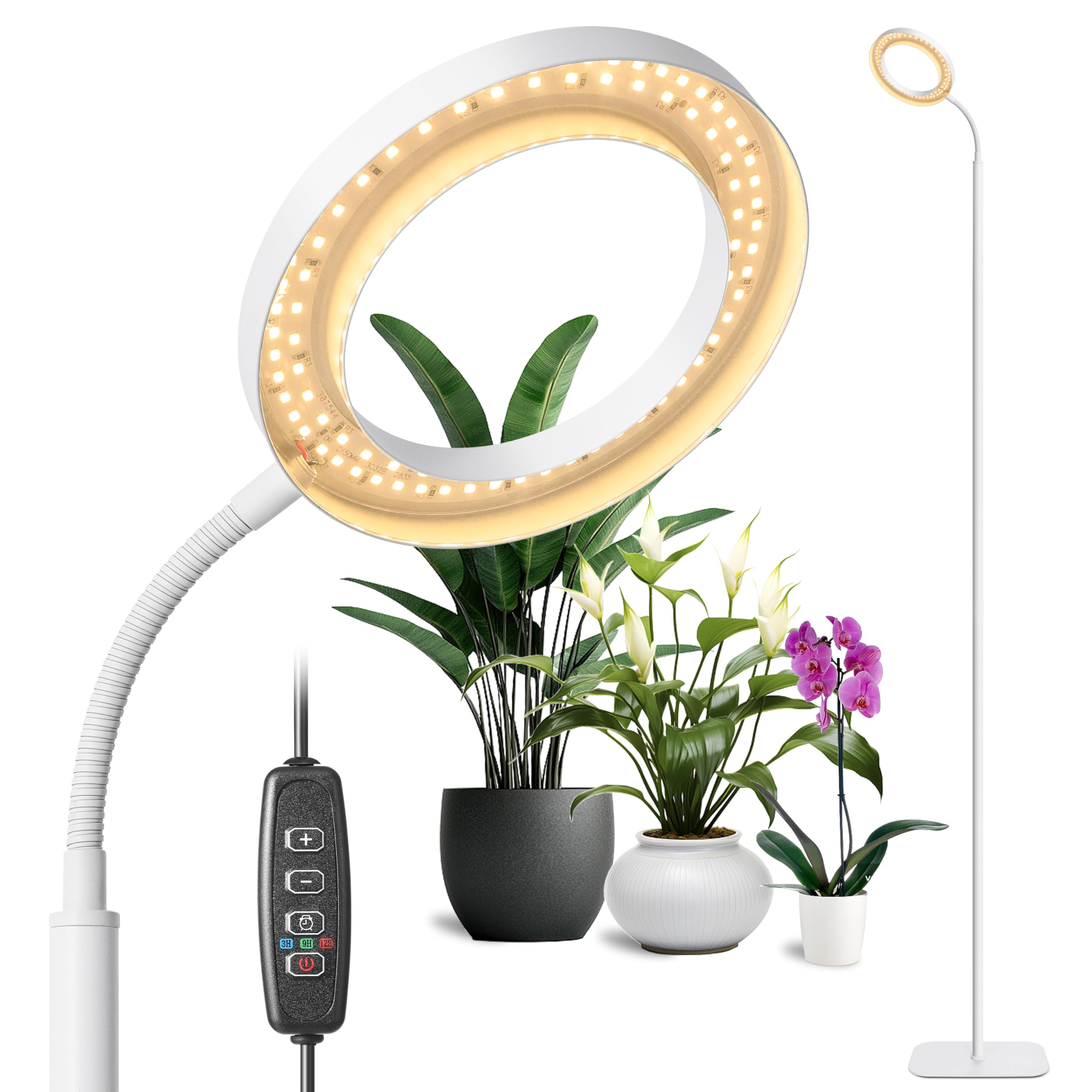 Czoumu White Ring Floor Grow Light, LED Full Spectrum Plant Light with Stand, 3/9/12H Timer, 10 Level Dimmable, 60 Inch Height Adjustable, 3000K Growth Lamp for Indoor Large Tall Plants