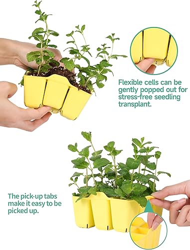 Miniatura 4 de Paquete de 8 bandejas coloridas para iniciación de semilleros, bandejas de silicona para principiantes de semillas adecuadas para bandejas de