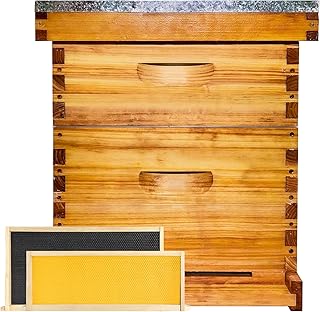 Beginner 8 Frame Bee Hive Beeswax Coated Includes Beehive Frames and Foundations (1 Deep Box & 1 Medium Box)