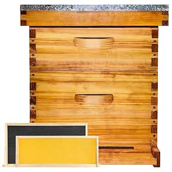 Amazon.com: Beginner 8 Frame Bee Hive Beeswax Coated