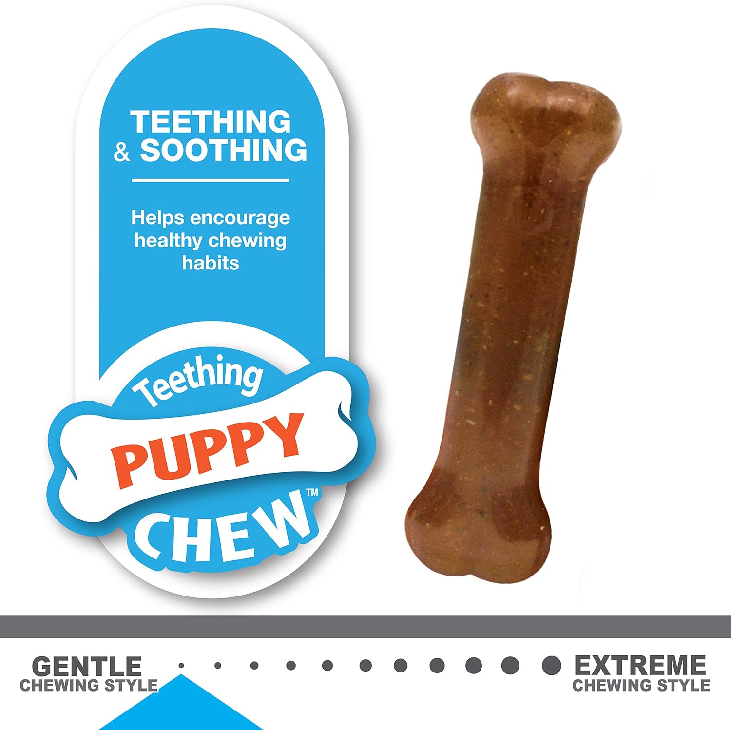 puppy starter kit nylabone