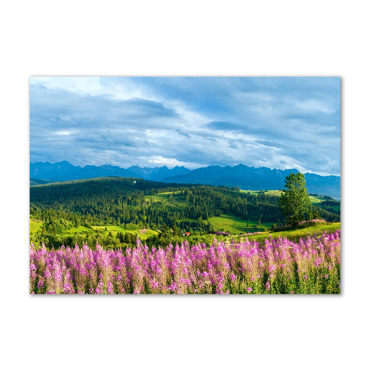 Mural acrylic glass picture lavande image verre plastique déco Tulup