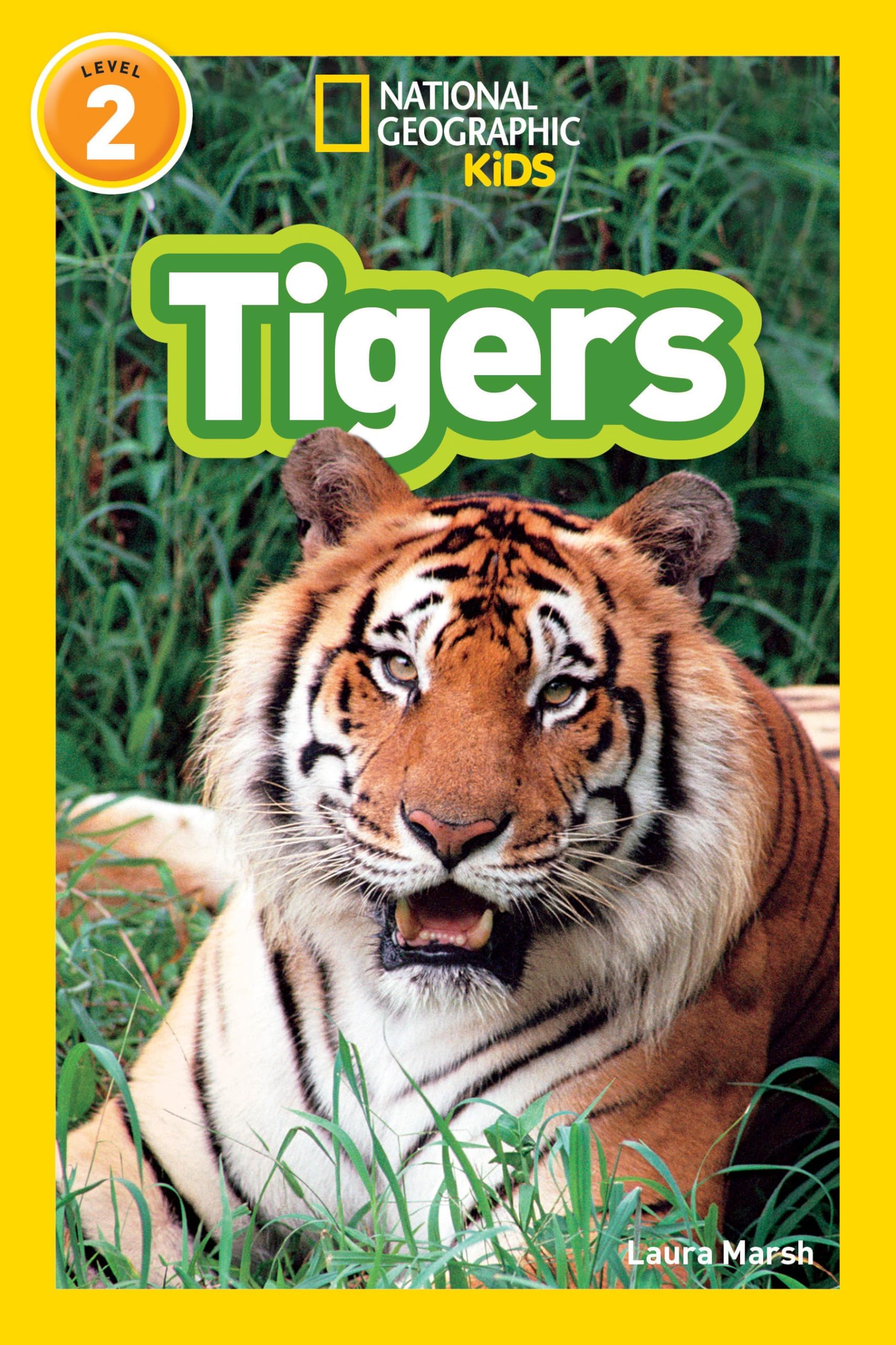 Tigers Paperback – Illustrated, 10 January 2012