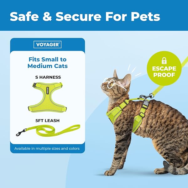 Voyager Escape Proof Cat Harness and Leash Set with Reflective Stitching, Neoprene Handle 5ft - Supports Small, Medium and Large Cats, Kittens for Walking by Best Pet Supplies - Lime, S - 2