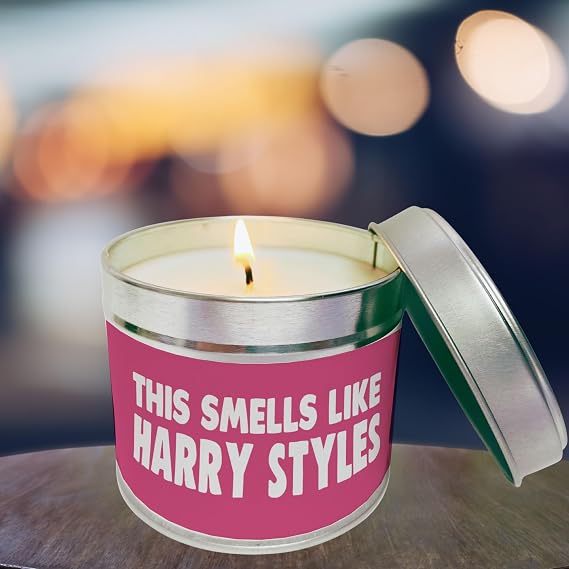 Wanky Candles Smells Like Harry Styles Funny Scented Tin Candle