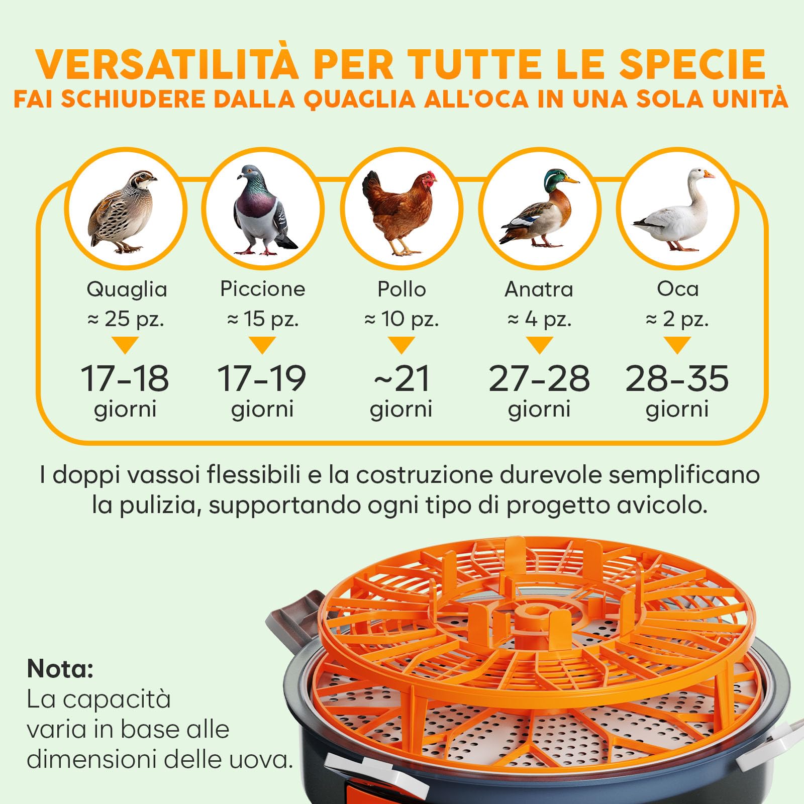 Incubatrice per uova automatica Okköbi – Incubatrice per 12 o 20 uova gallina – Controllo automatico temperatura e umidità – Gira uova – Luce per test uova – Facile da usare