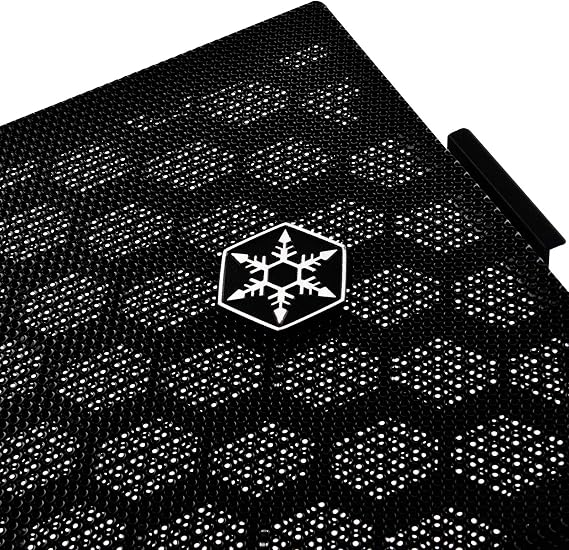 Silverstone Precision PS16 Micro-ATX & Mini-Itx Compatible Computer Case, SST-PS16B