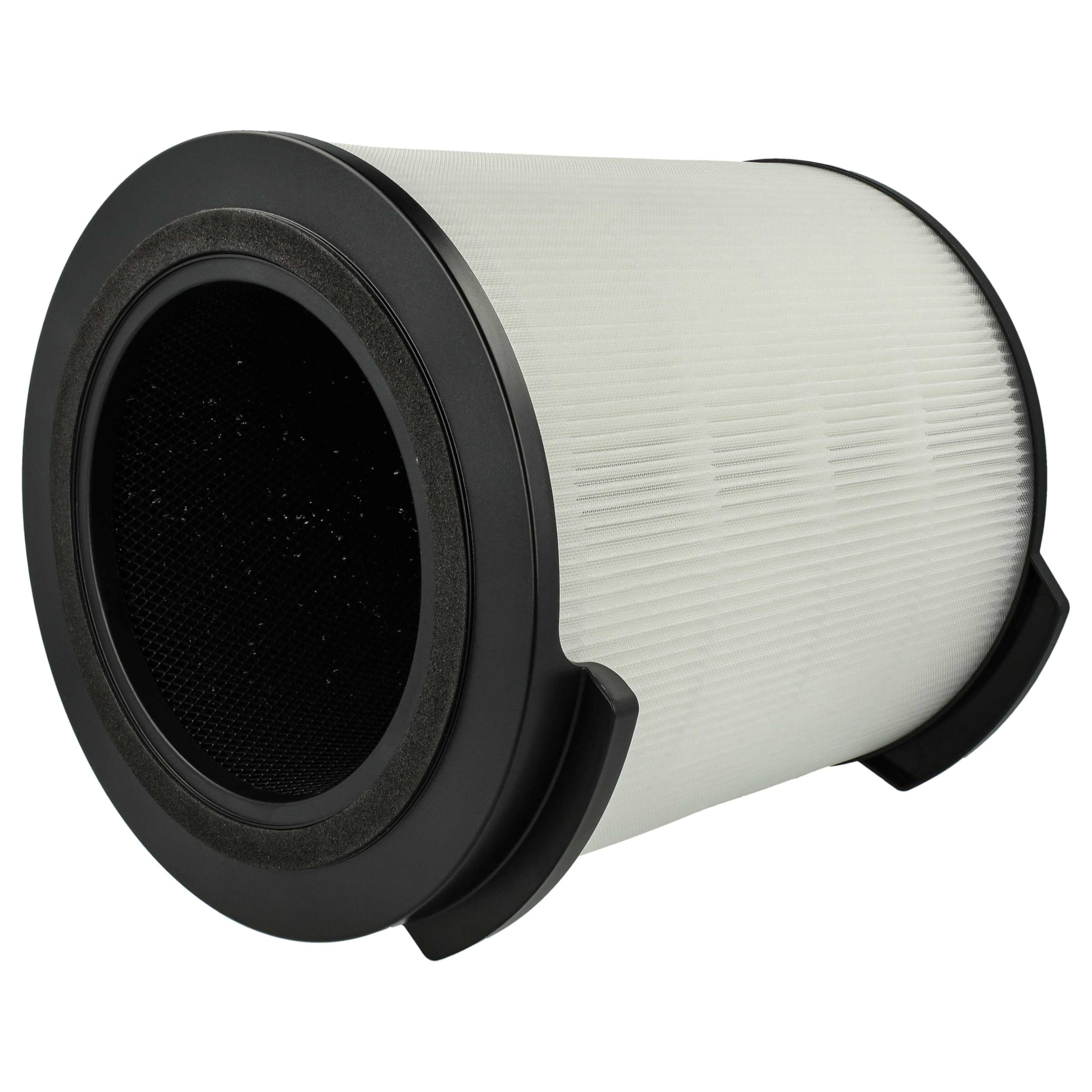 vhbw Filtr H13 kompatybilny z Philips AC1715/10, AC1715/11, AC1715/30 oczyszczacz powietrza, wbudowany filtr z węglem aktywnym