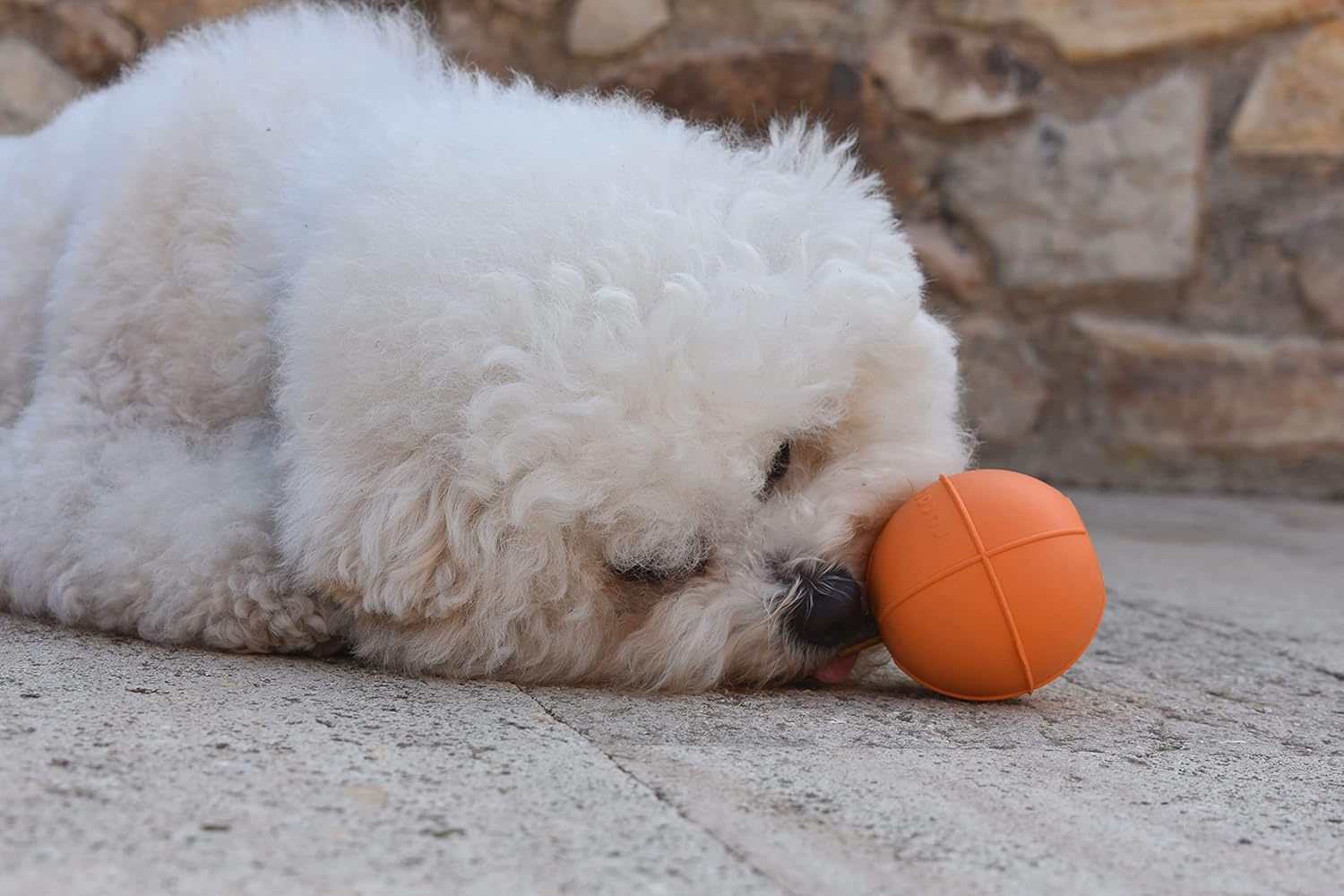 Dog Ball | Multifunctional Dog Ball | Refillable and Scented | Interactive and Healthy Play (Medium Hardness - Small Size)| Spanish Product