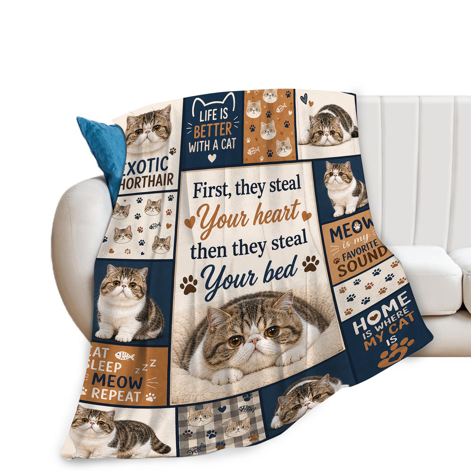 Tijuboni Exotic Shorthair Cat Throw Blanket Gift for Girl 50"X40"