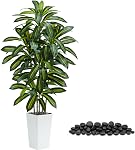 Arbre de Dracaena artificiel:6FT Faux soie Tropical Yucca Planchers Réaliste Fausse plante verte avec le tronc en bois naturel & Feuilles de vie pour le bureau intérieur Decor & A l'extérieur (6FT,1-Pack,Blanc)