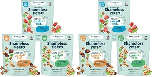 Shameless Pets Crunchy Cat Treats - Kitty Treats for Cats