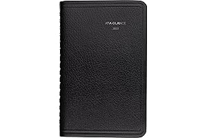 2022 Weekly Appointment Book & Planner by AT-A-GLANCE: The Ultimate Pocket-Sized DayMinder