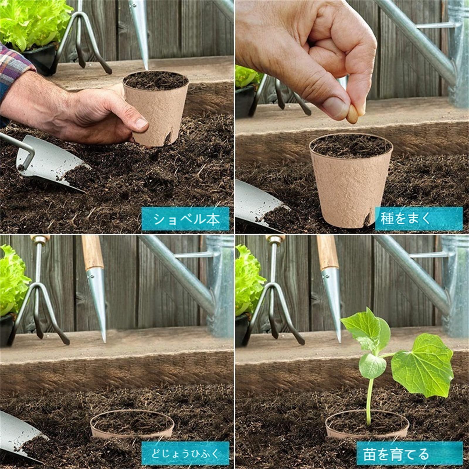 Amazon | 育苗ポット 紙 紙植木鉢 育苗箱 泥炭ポット 分解性 通気孔の