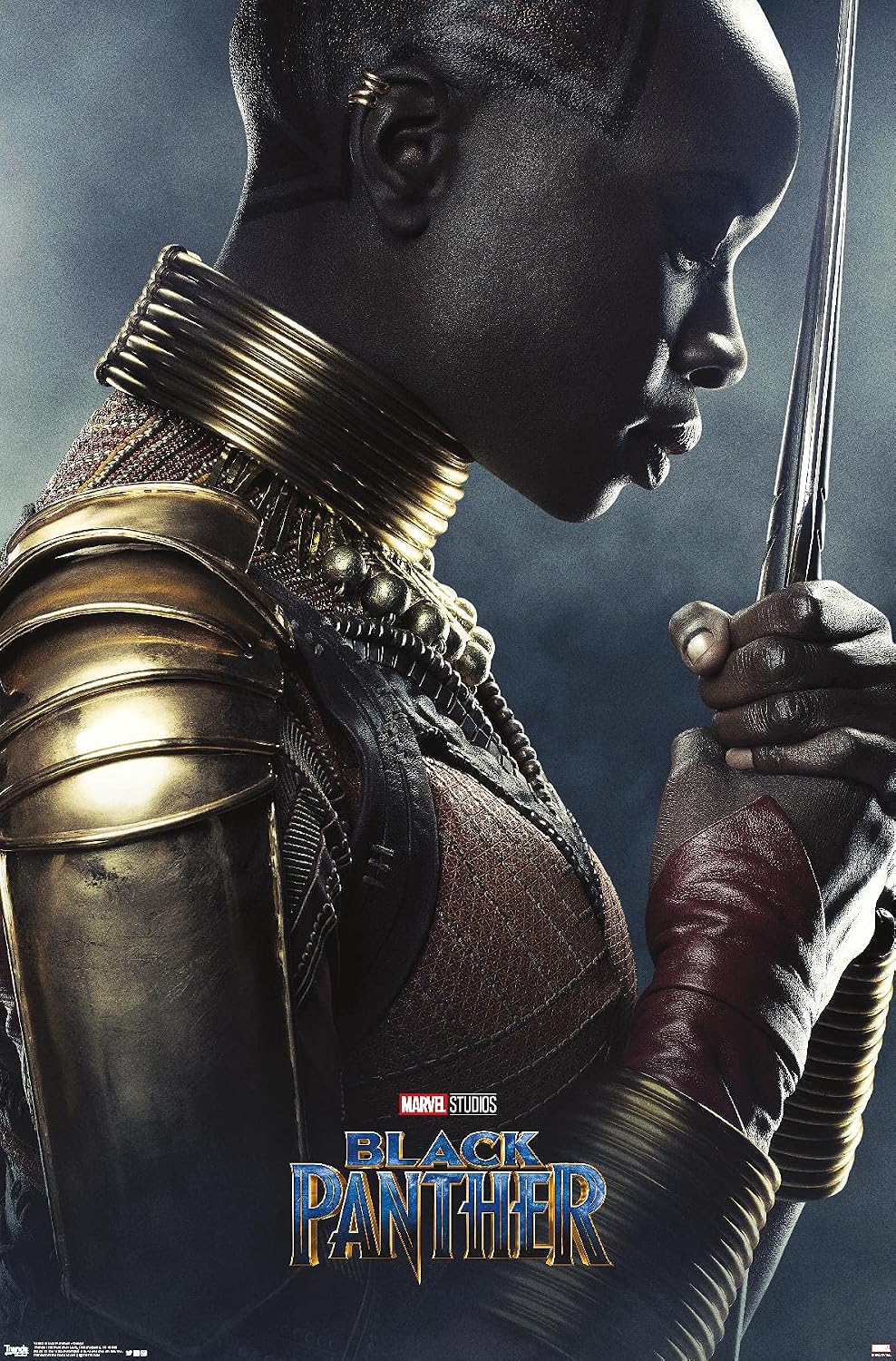 Trends International Marvel Cinematic Universe - Black Panther - Okoye One Sheet Wall Poster, 22.375" x 34", Premium Unframed Version