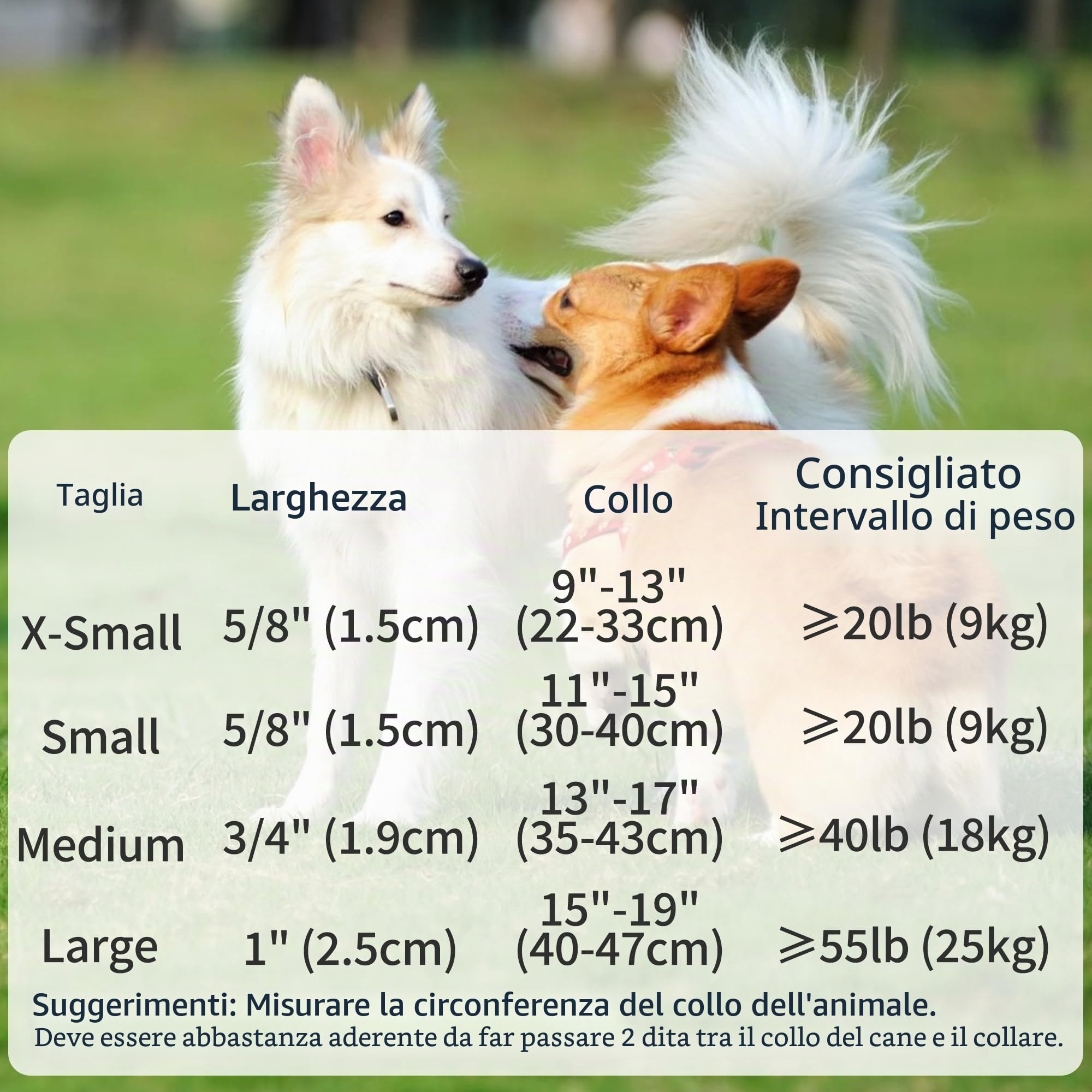 Mile High Life Collare Cane in Nylon Catarifrangente Fascia in Cuoio Taglia (L, Marrone scuro)