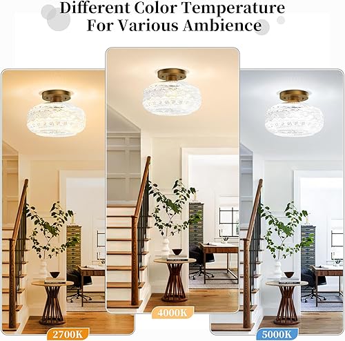 Miniatura 5 de Lámpara de techo industrial semiempotrada, lámpara de techo de cristal con globo dorado, lámparas de techo vintage, lámpara de granja para entrada,