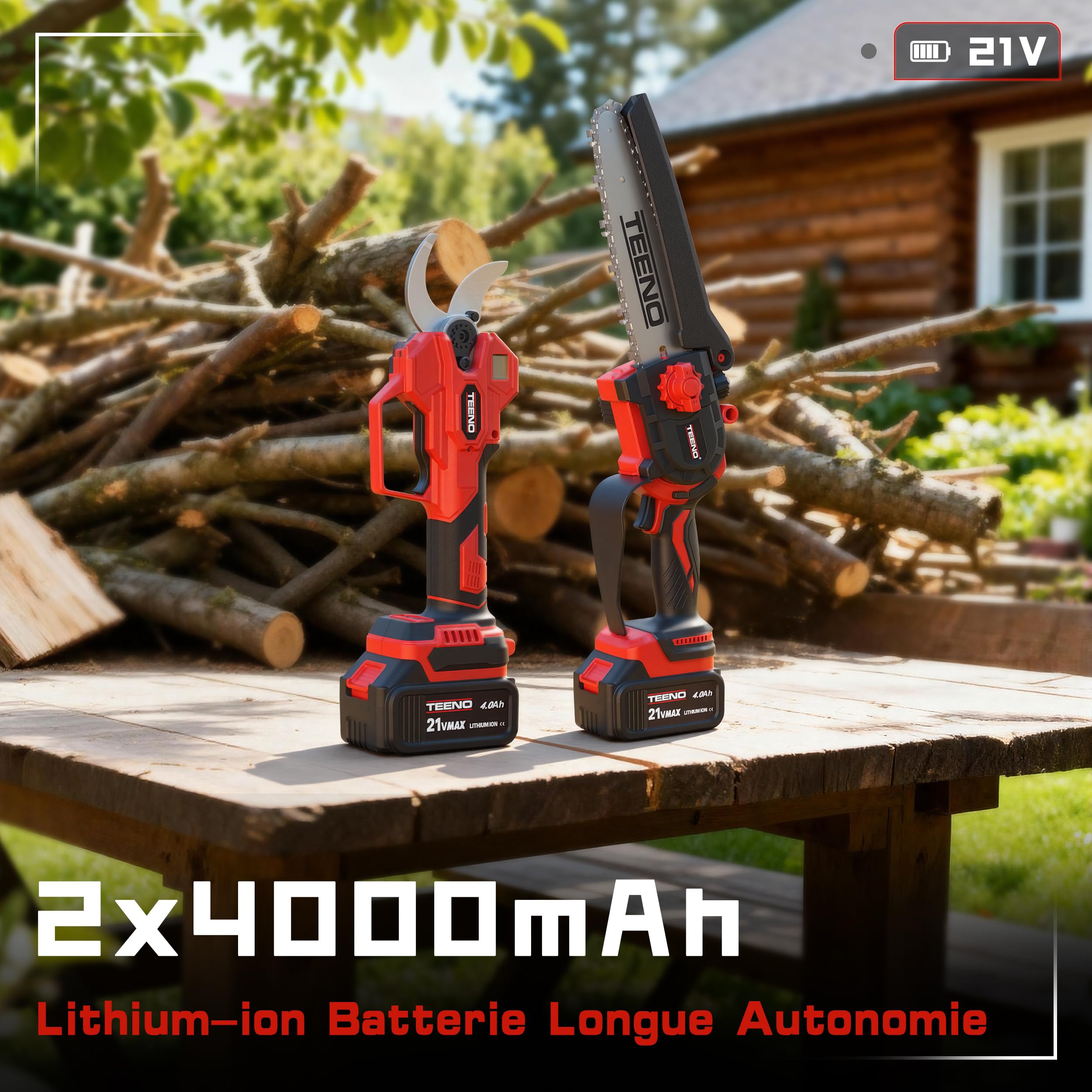 TEENO 2 en 1 Ensemble d'Outils de Jardinage : Mini Tronconneuse à Batterie 6 Pouces + Sécateur Électrique Sans Fil 0-40mm, 2 X 4.0 Ah Batteries, Lames Acier SK5 pour Coupe de Troncs et Branches