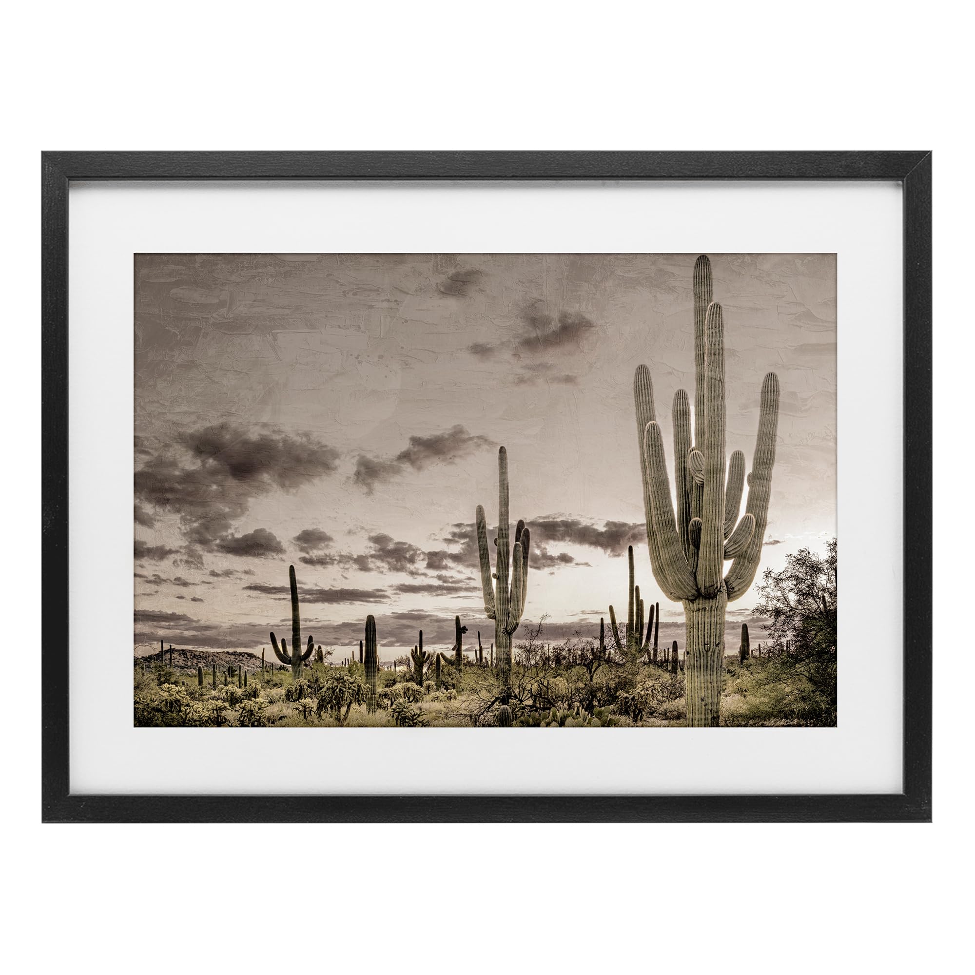 Stupell Industries Midnight Black (Textured) Desert Sky Wilderness Cactus, 14 X 20 Inch Framed Print Under Glass