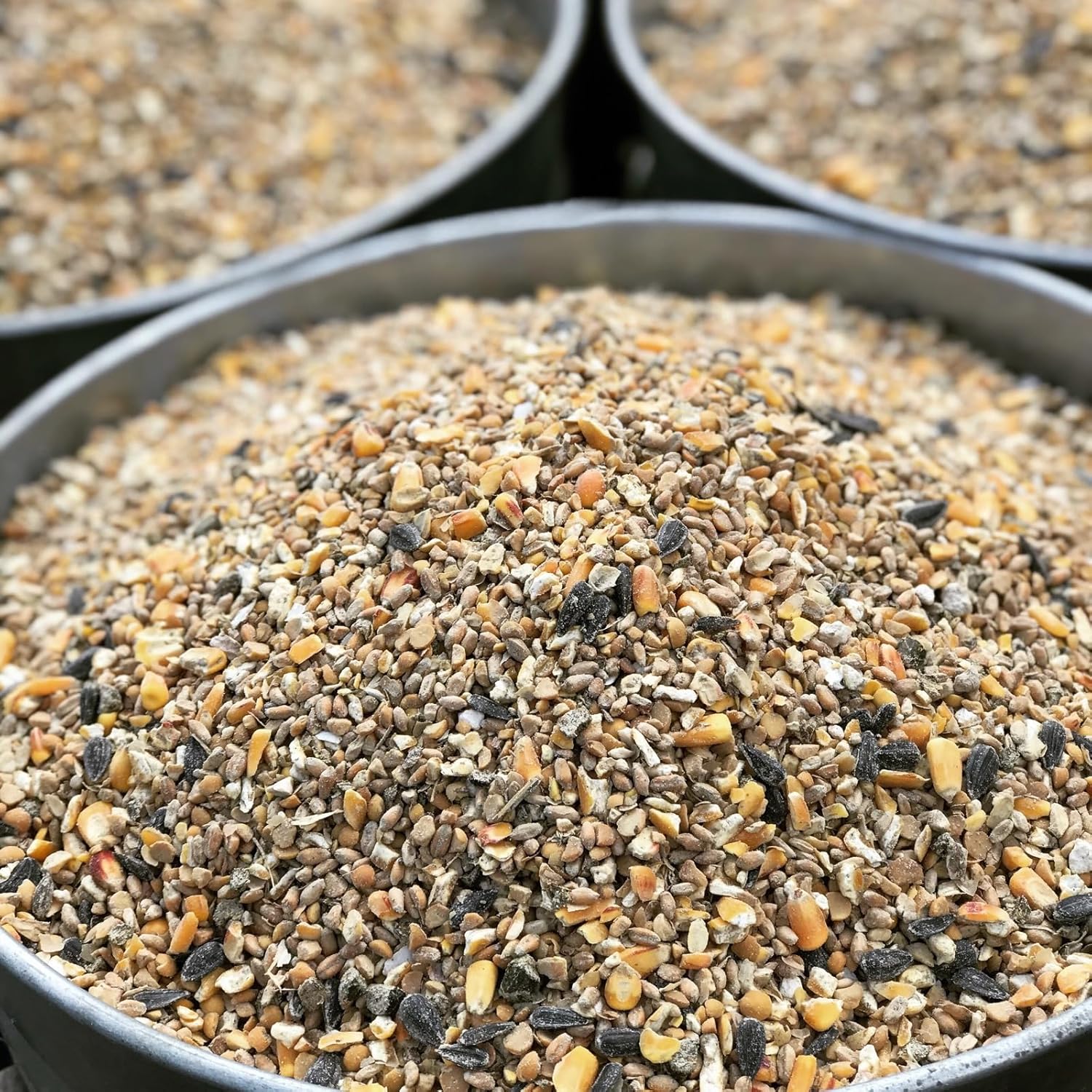 Non-GMO High-Protein Layer Blend 10 lb