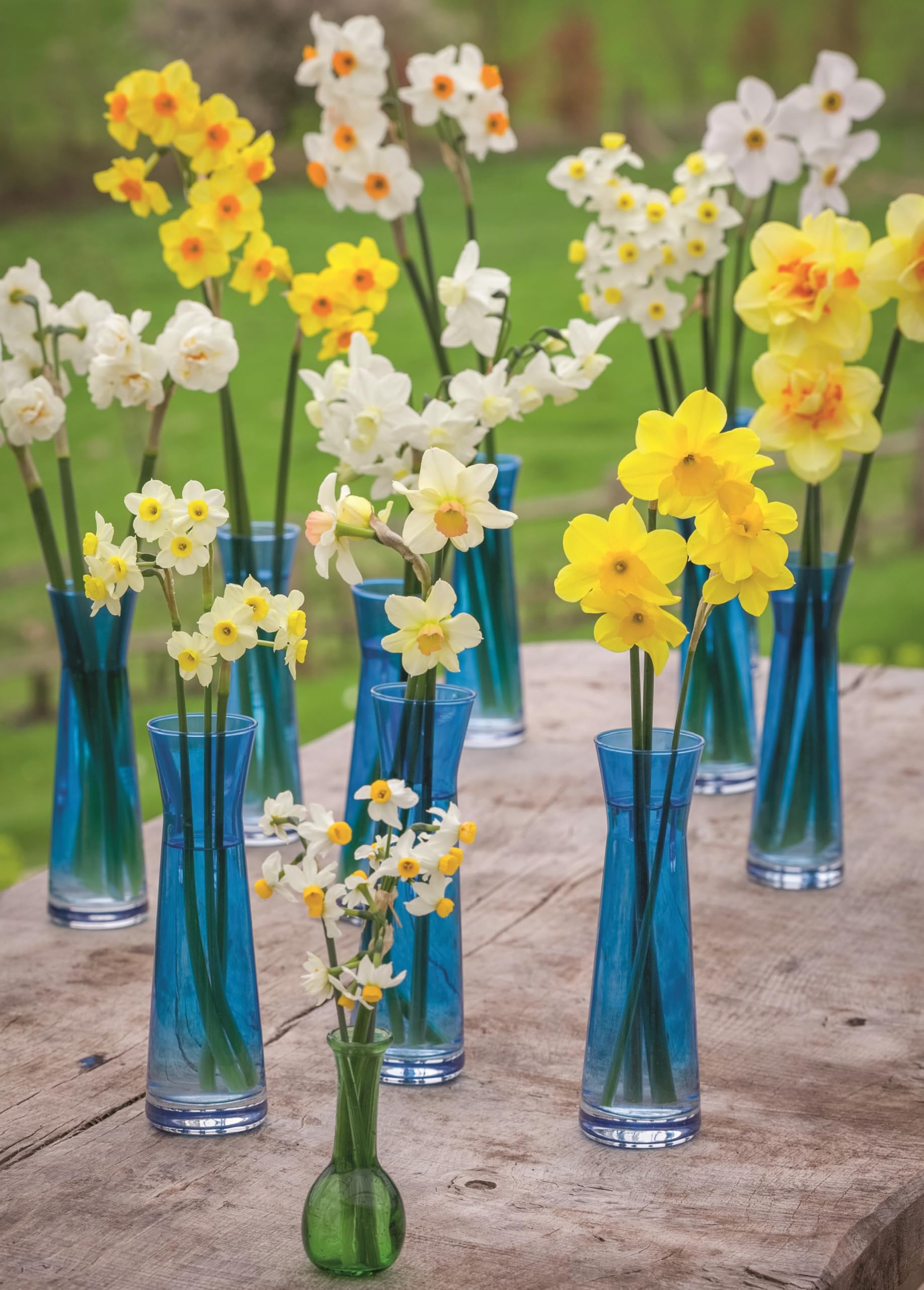 A Year of Cut Flowers: A life of growing and arranging for all seasons