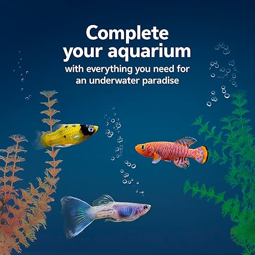 Aqueon Fish Tank Aquarium Essentials Starter Kit for — lifestyle photo