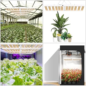Amazon.com : Sonlipo 2024 New SPF6000 PRO 600W LED Grow