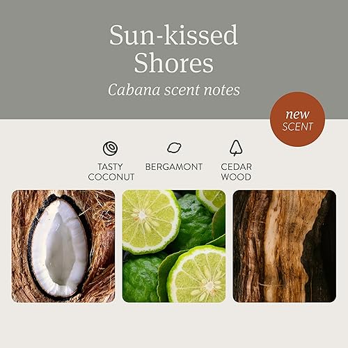 Miniatura 29 de Drift Ambientador de coche – Ambientador de piedra eliminador de olores de coche – Aroma de larga duración – Accesorios para automóviles – Clip