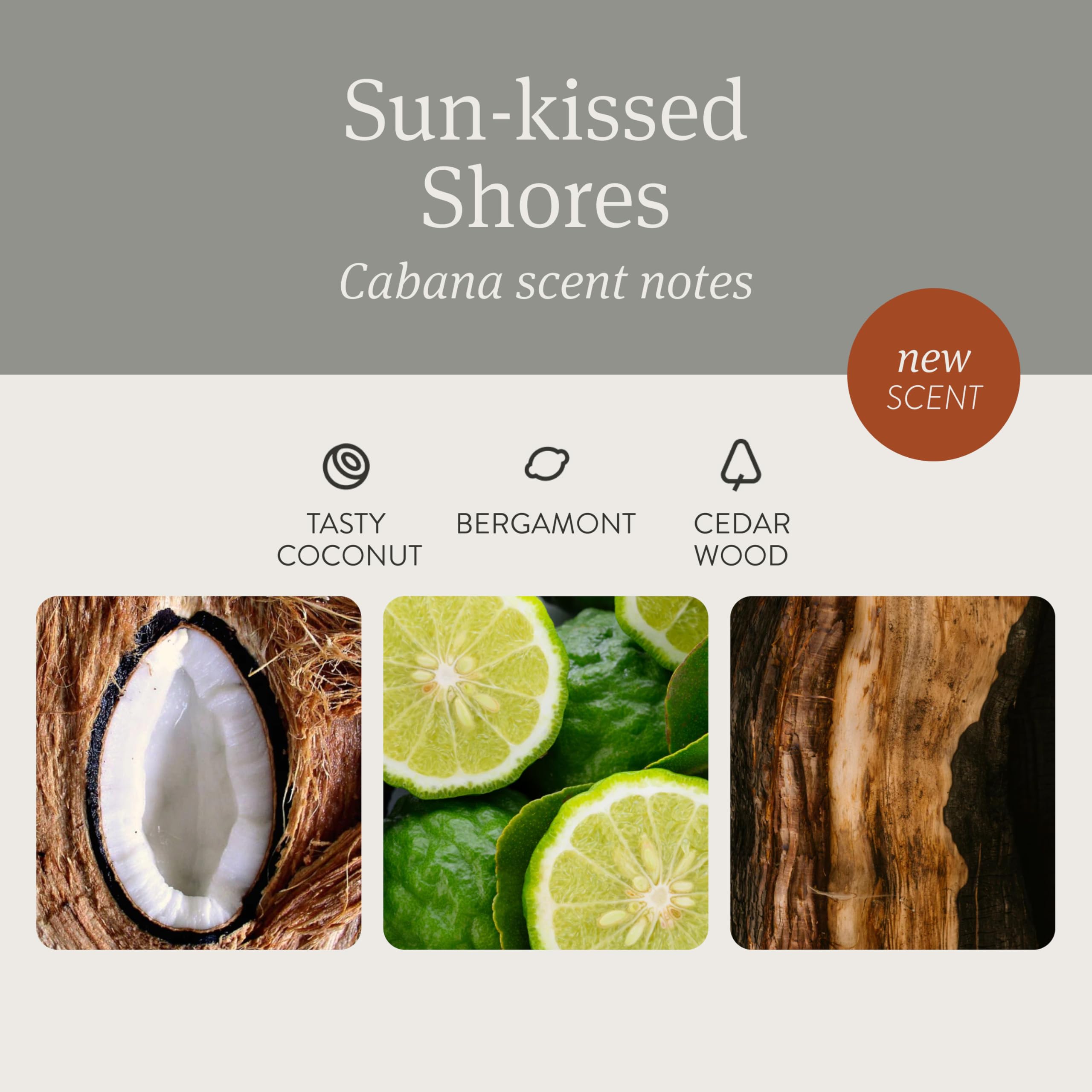 Drift Car Air Freshener - Stone Air Freshener Car Odor Eliminator - Long Lasting Scent - Auto Accessories - Metal Clip - Essential Oils - Clean Ingredients - Cabana Scent Starter Kit