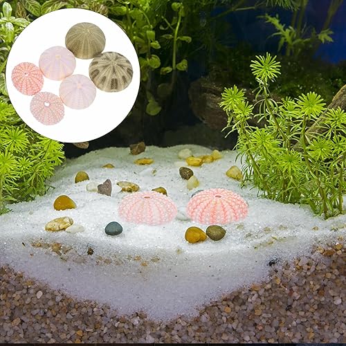 Miniatura 9 de Decoración natural de conchas de erizos de mar, 6 conchas de erizo de mar para manualidades y decoración del hogar, decoración de playa, jarrón,