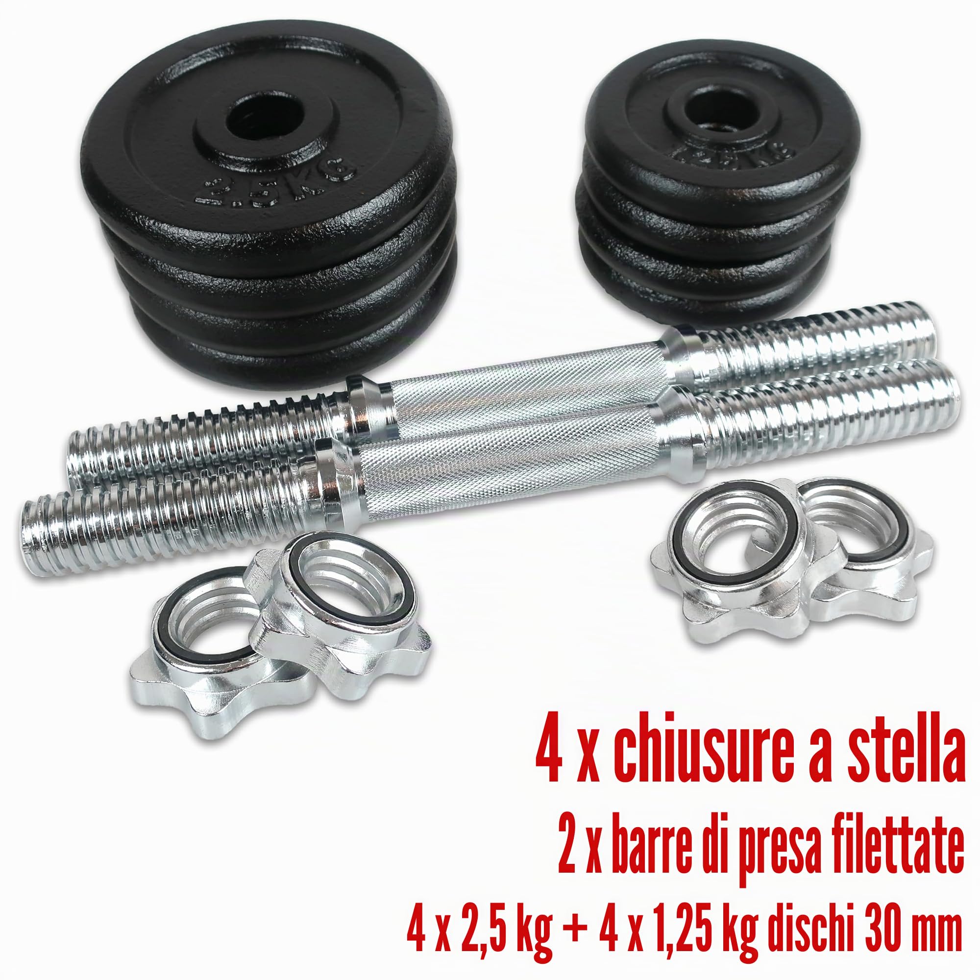 C.P.Sports Set di Manubri in Ghisa 20KG in Valigetta | 2 Manubri, 2 Barre, 8 Piastre di Peso, 4 Chiusure | Per Allenamento Pesi, Bodybuilding, Fitness, Palestra Domestica