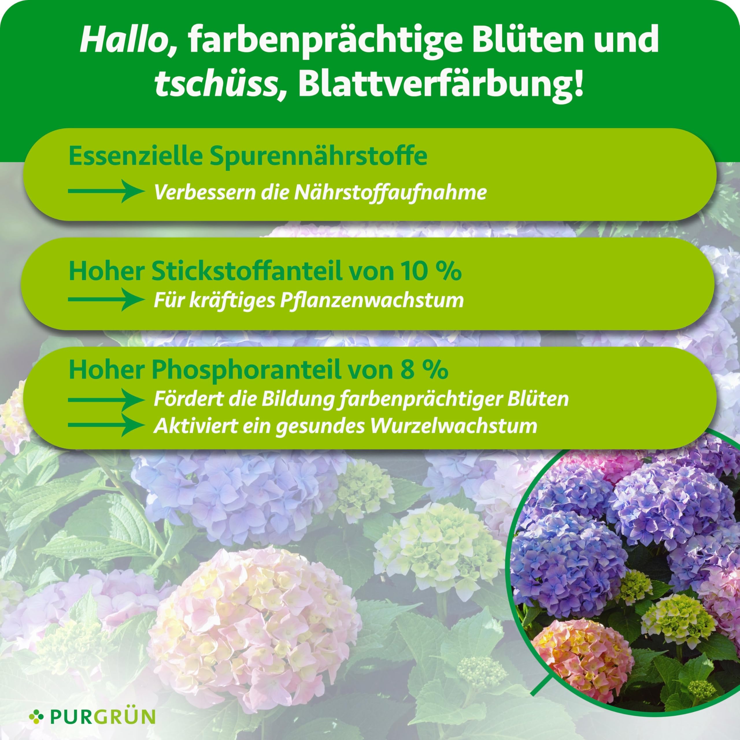 Hortensiendünger 1 Liter – Wirkt schnell & zuverlässig – Wunderelixier für Farbexplosion & Vitalität – Gesundes Wachstum dank Spurennährstoffen – Premium-Blumendünger für 200 Liter Wasser