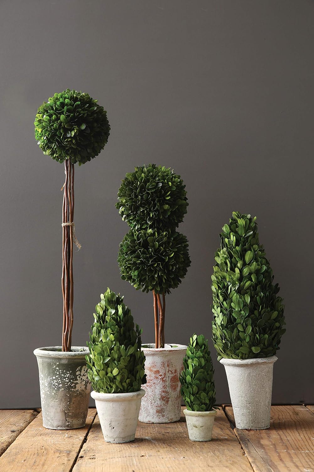 Creative Co-Op Boxwood Topiary in Clay Pot, Large : Home & Kitchen