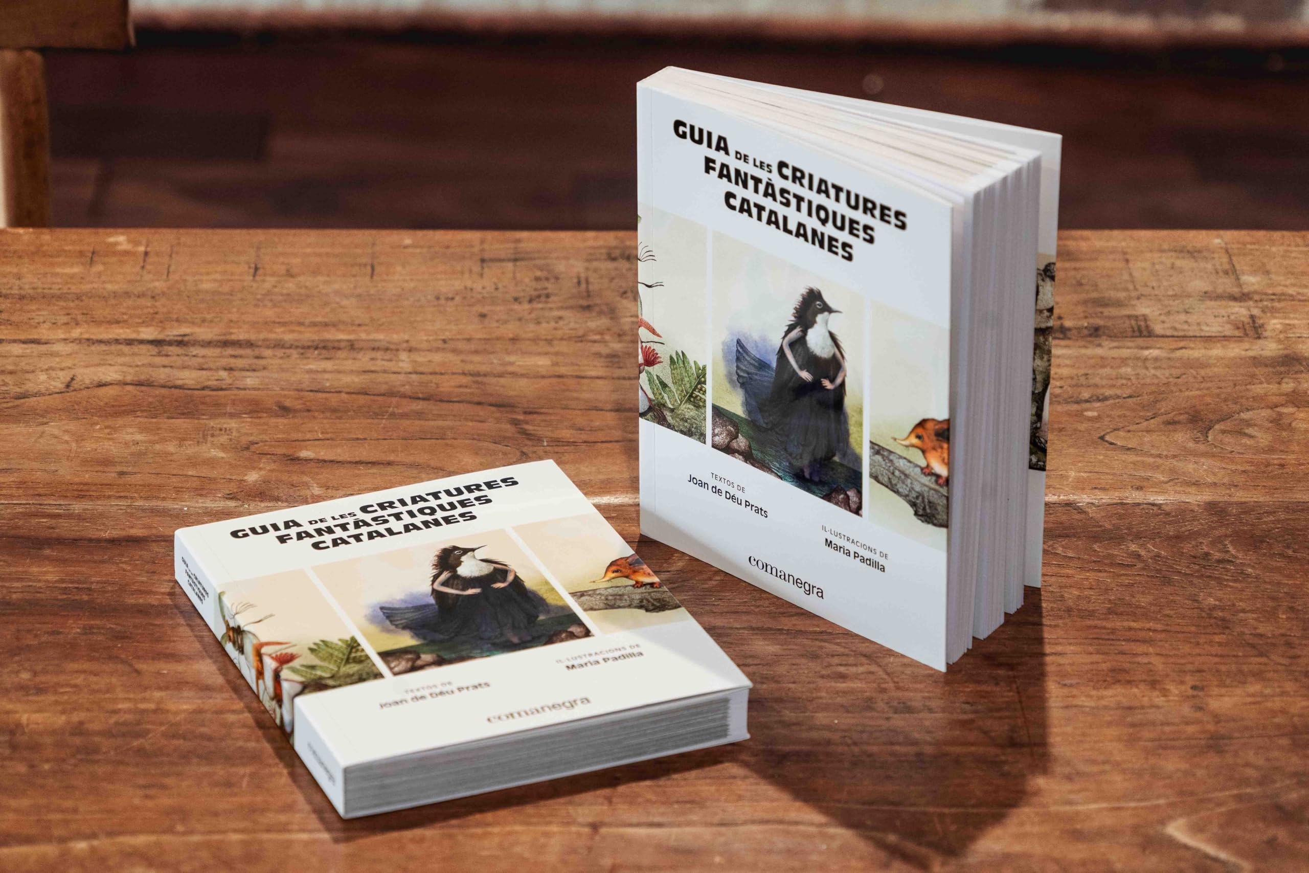 Guia de les criatures fantàstiques catalanes (Catalunya fantàstica)