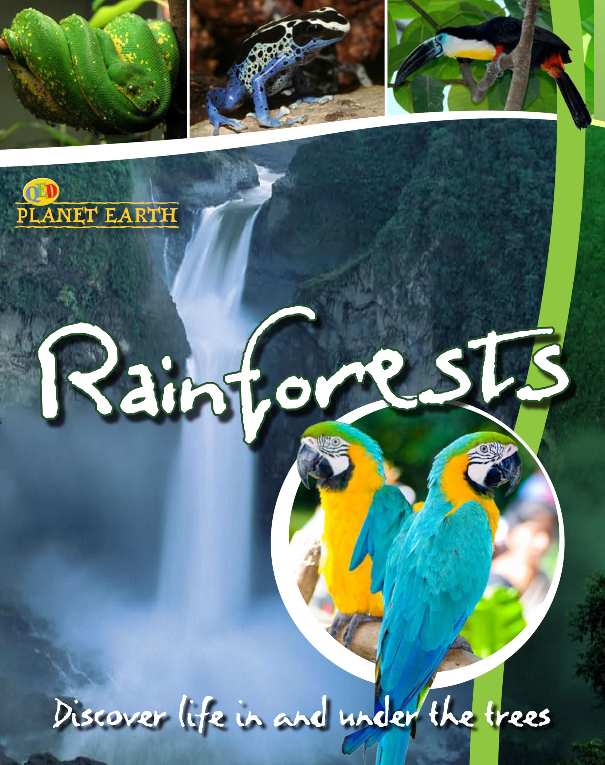 Planet Earth: Rainforests: Discover Life in the Trees