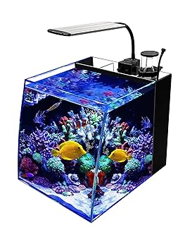 水槽 icchimama ADAview] AJ229連動-180cm水槽レイアウト 山水石石組編 - YouTube