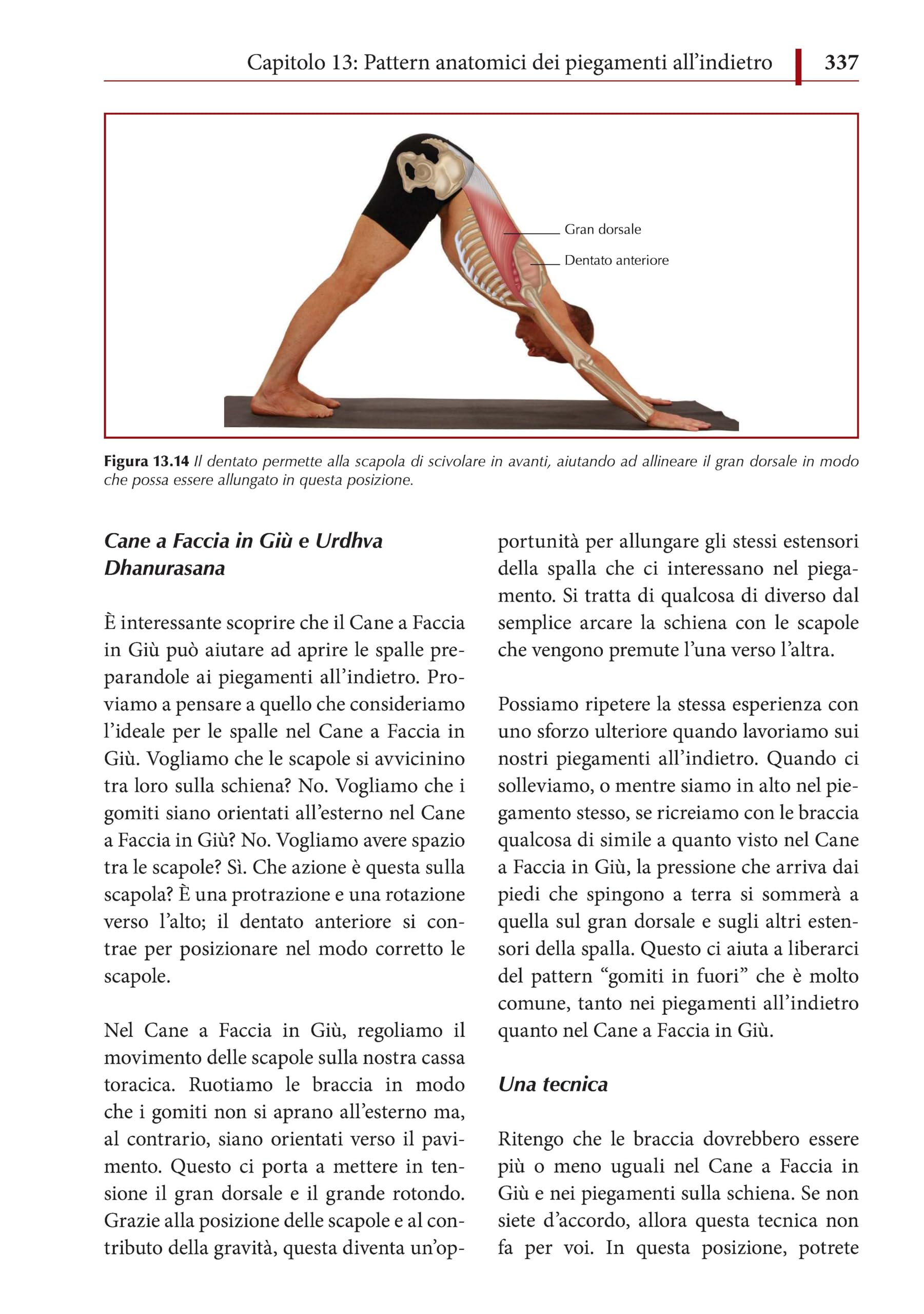 Anatomia funzionale dello yoga. Una guida per praticanti e insegnanti