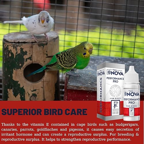 Miniatura 3 de VHD MyBird Performance E & D3 para la cría de aves jaulas - para periquitos, canarios domésticos, loros, jilgueros y palomas, pájaros jaulas grandes