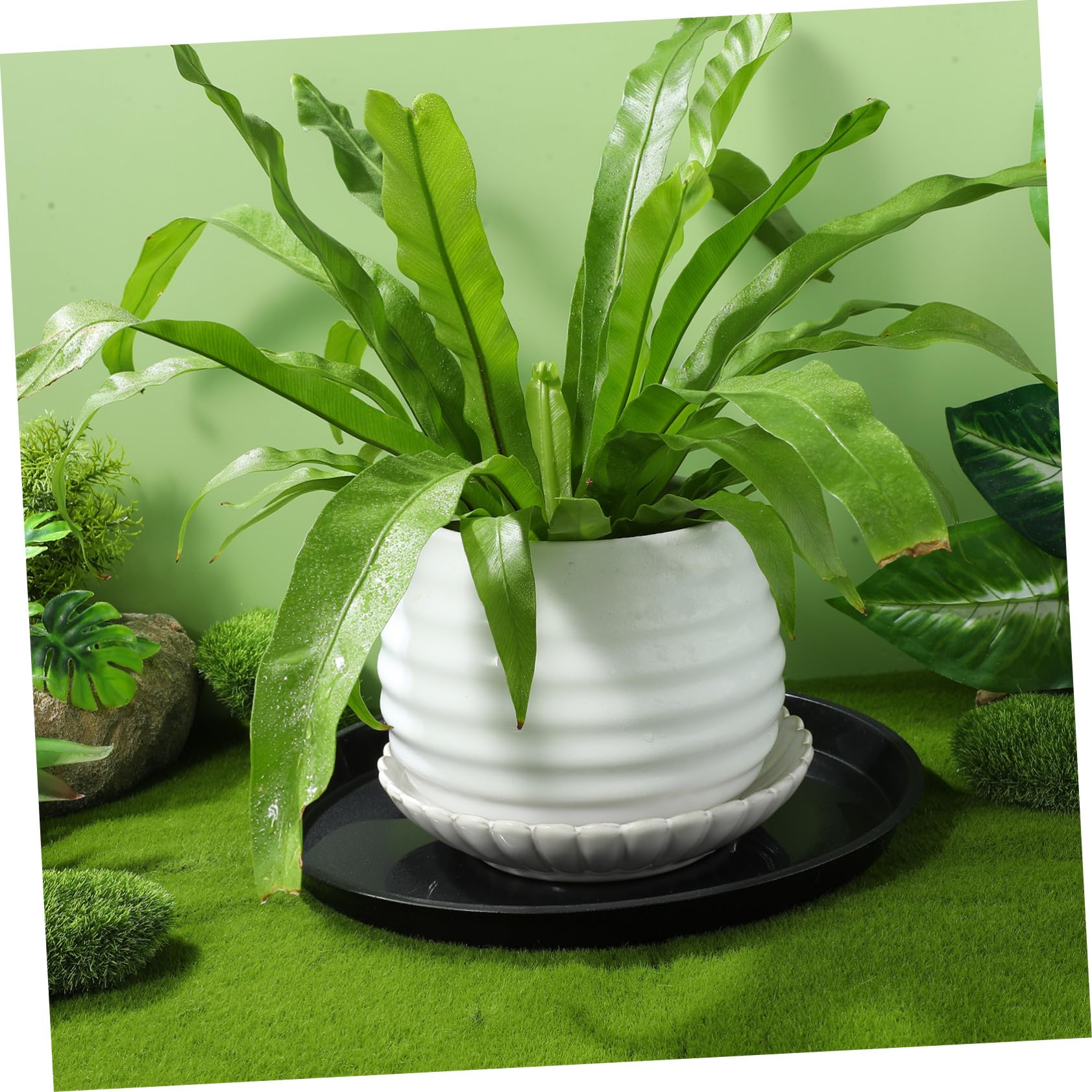 10piezas Platillos para Plantas Bandejas De Drenaje para Macetas Bandejas Redondas para Agua y Contenedores para Plantas De Jardín